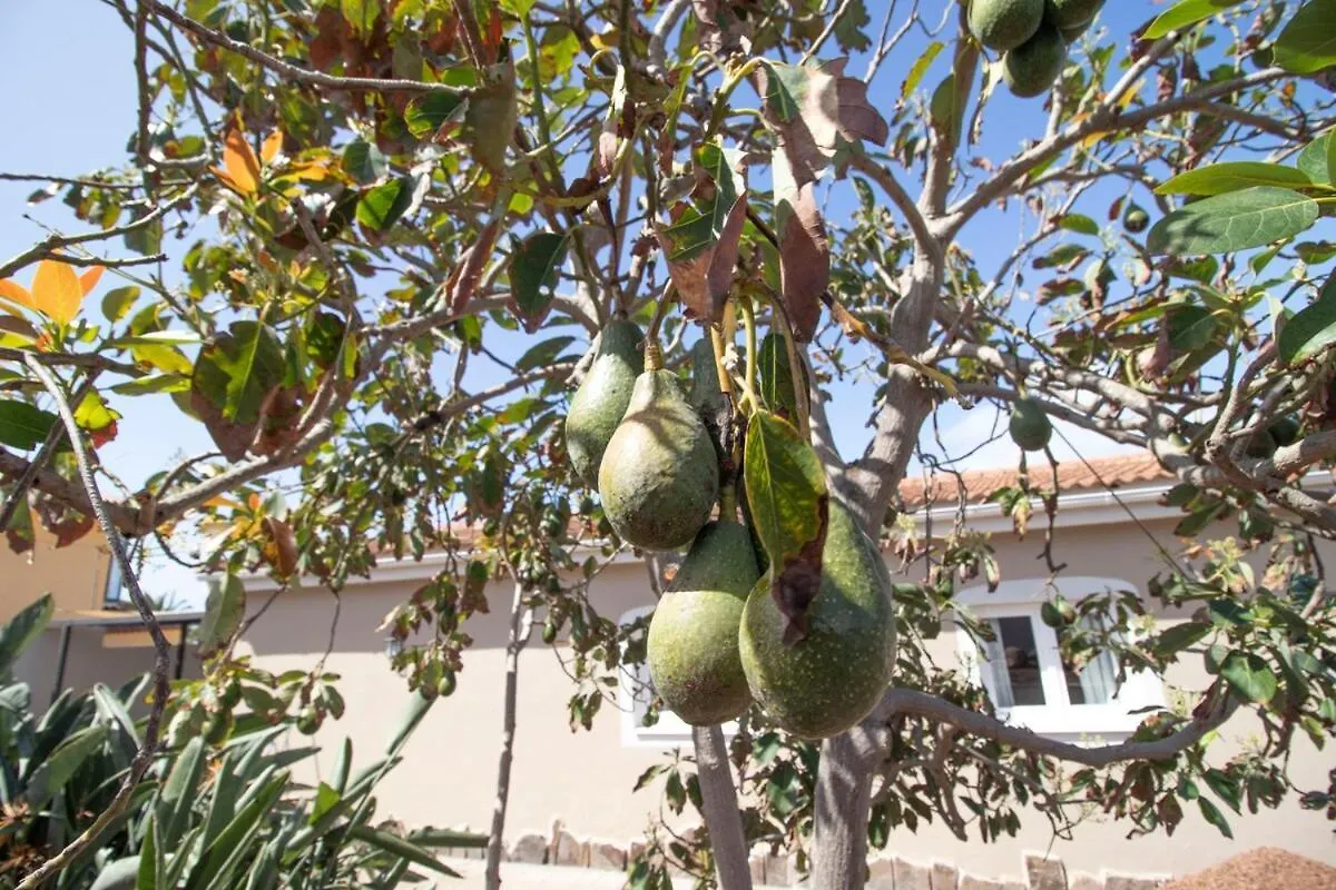 بيت للعطل Villa De Lujo Con Jardin Privado Y Vistas Al Mar تاكورونتي